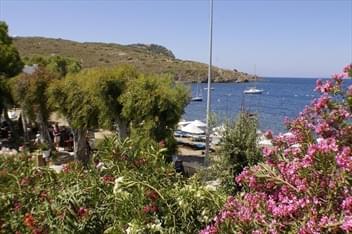 Arriba Pension & Restaurant Bodrum